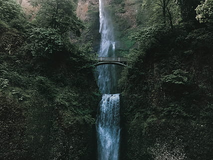 waterfalls surrounded by plants, bridge, tree, forest, moody HD wallpaper