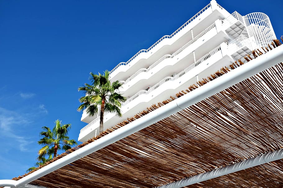 building, white, architecture, engineering, tree, palm, palm tree HD wallpaper