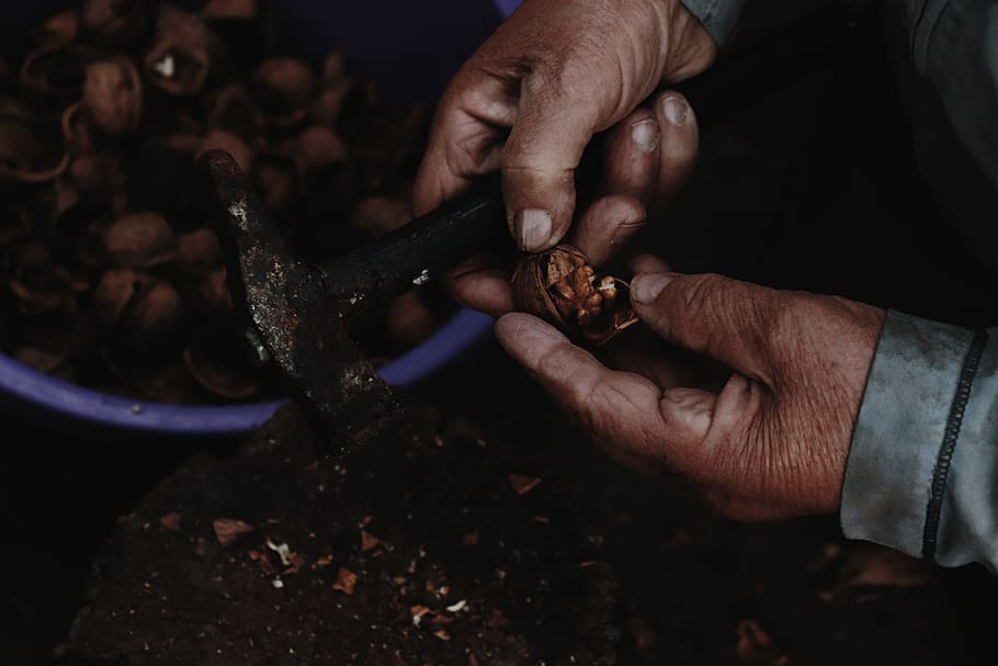 person opening nuts, finger, human, plant, hand, road, food, vegetable HD wallpaper
