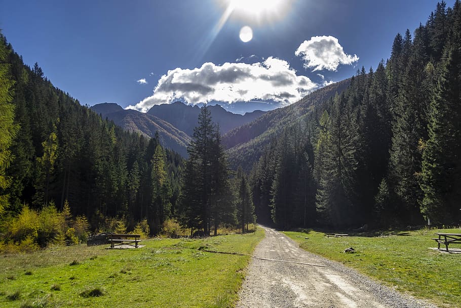backlight, green, nature, sky, trees, peace, italy, trail, tranquility HD wallpaper