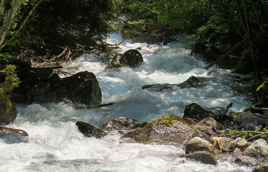 stream, running, water, flow, nature, landscape, jungle, wild HD wallpaper