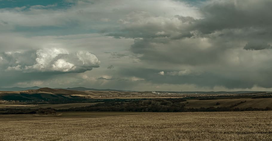 forests, meadows, fields, nature, trees, the country, cloud - sky HD wallpaper