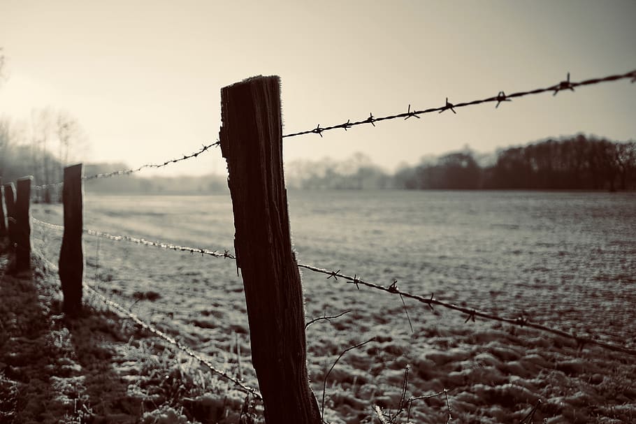 winter, coupling, nature, landscape, wintry, pasture fence HD wallpaper