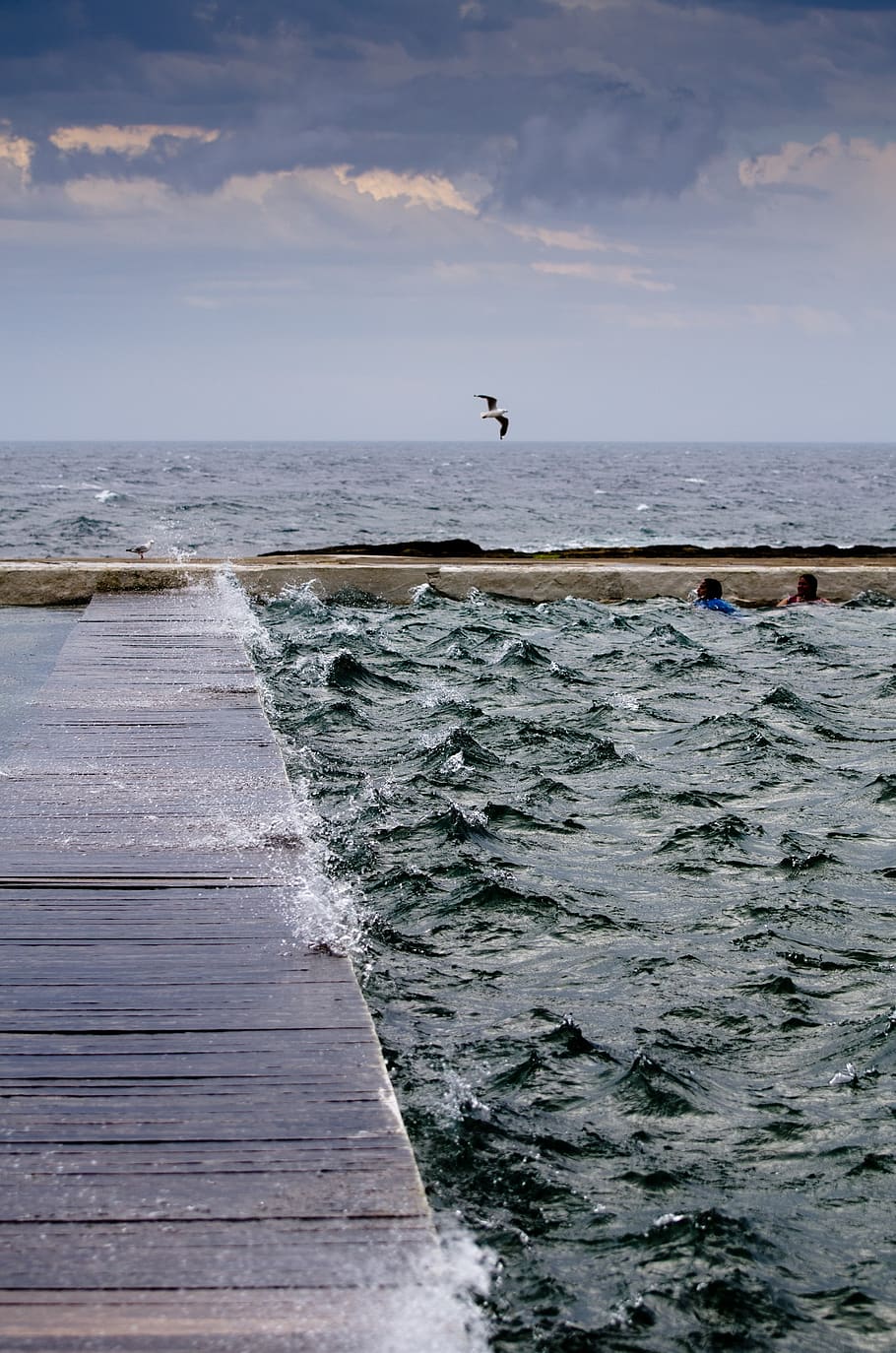 platform, baths, choppy, storm seagull, sky, ocean, water, horizon over water HD wallpaper