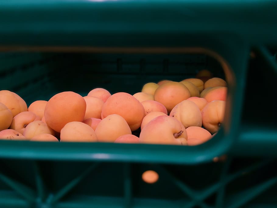 apricots, fruit, macro, food, wallpapers, colors, orange, skin HD wallpaper