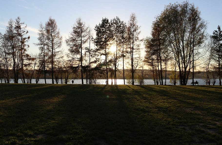 landscape, sunset, tree, sky, twilight, nature, plant, tranquil scene HD wallpaper