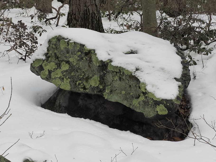 green, lichen, snow, shadow, boulder, winter, cold temperature HD wallpaper