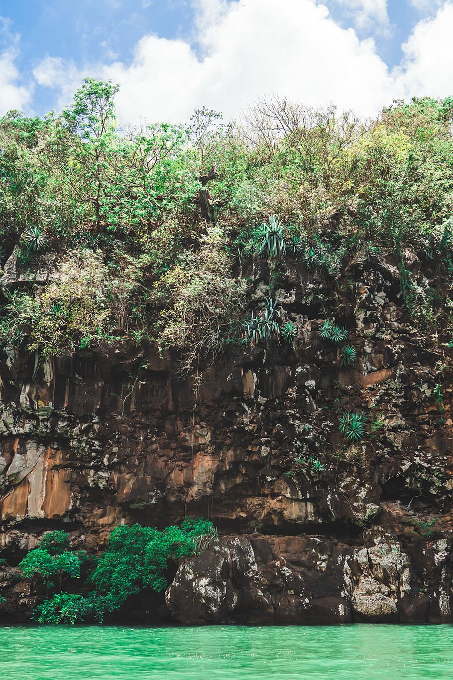 jungle, cliff, foliage, waterfall, tree, sky, nature, plant HD wallpaper