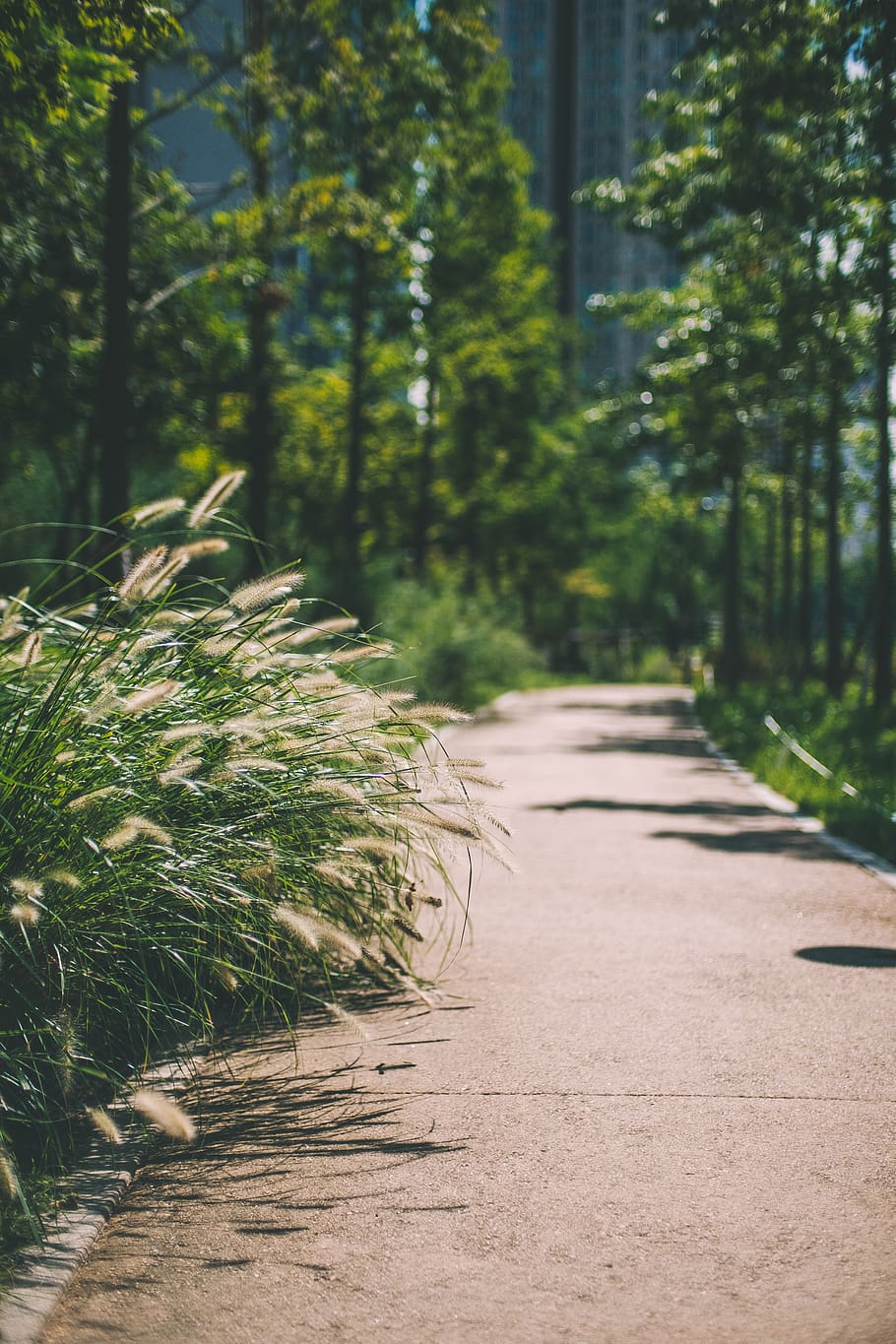 road, pedestrian, stroll, walk, walking, rest, cozy, comfort HD wallpaper