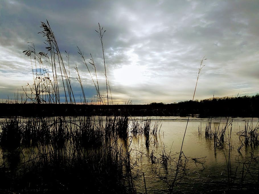 united states, perch lake, sky, cloud - sky, plant, water, beauty in nature HD wallpaper