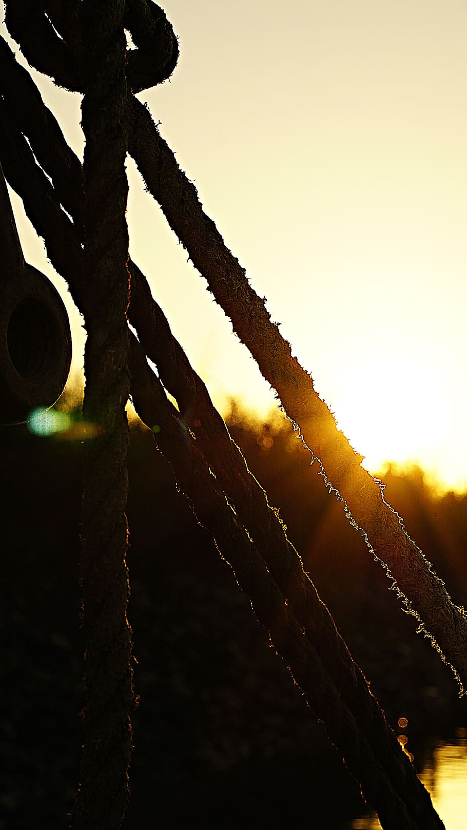 dew, maritime, rope, leash, cordage, ship traffic jams, knot HD wallpaper