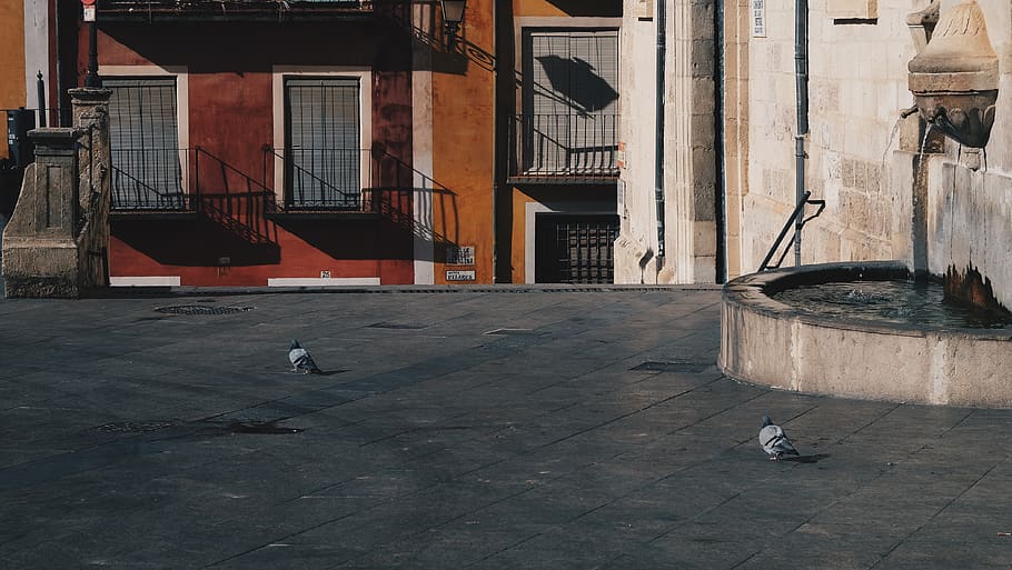 cuenca, spain, dove, city, building exterior, architecture HD wallpaper