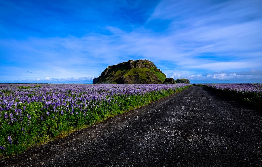 green grass photography, sky, beauty in nature, road, plant, scenics - nature HD wallpaper