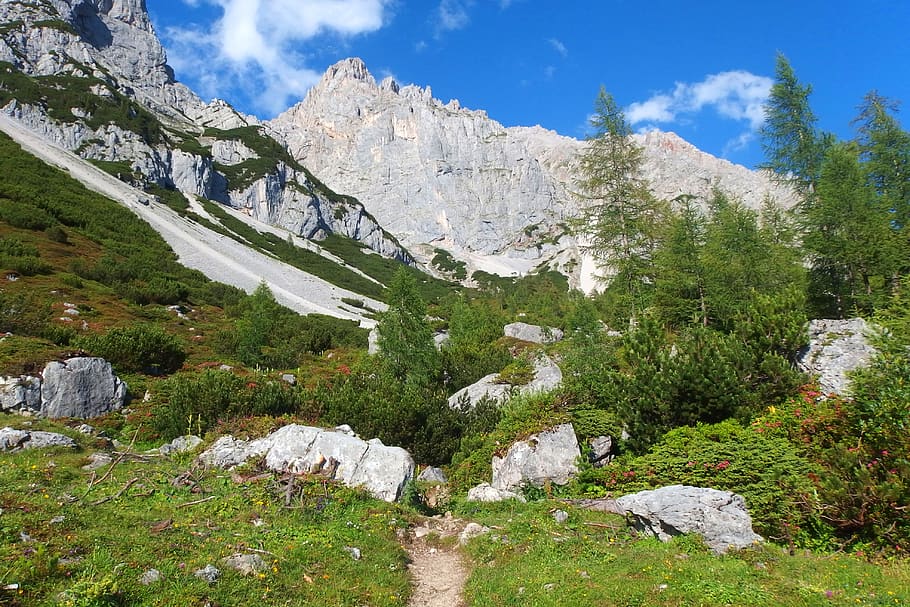 mountains, landscape, tree, nature, summer, alpine, beautiful HD wallpaper