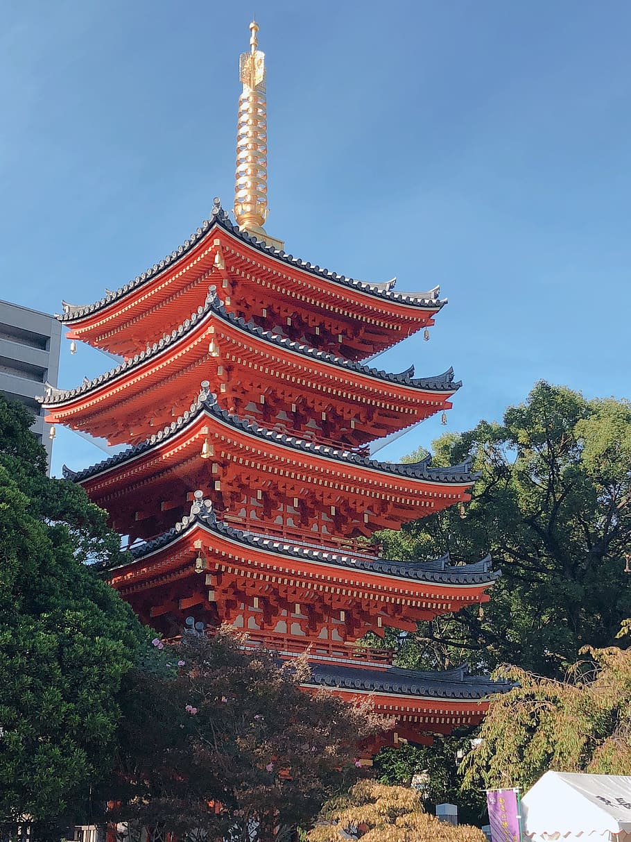 japan, fukuoka, total 岡, the company, tochoji, temple, section