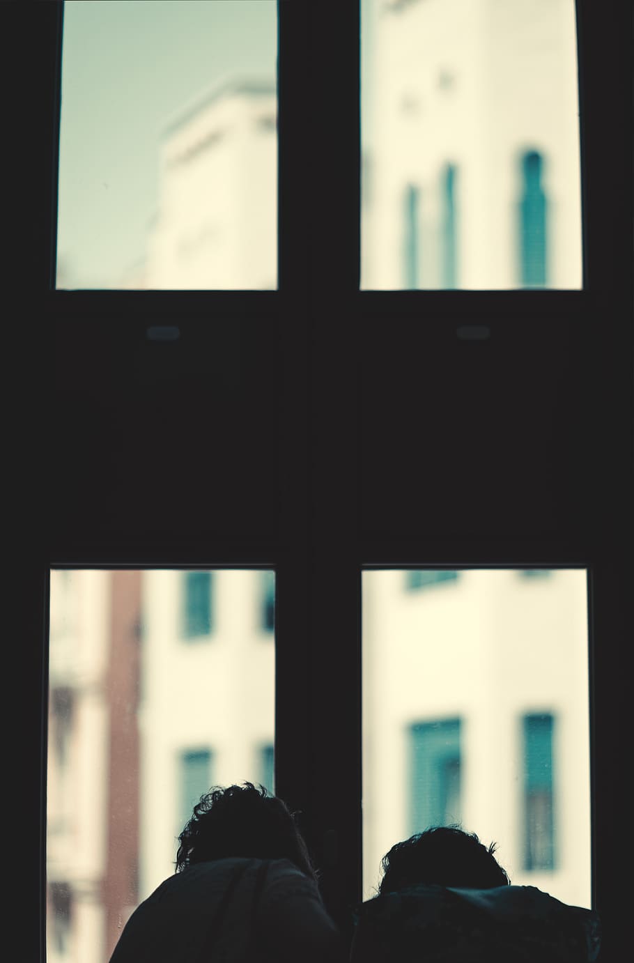 watching, person, observing, looking, tranquility, contrast HD wallpaper