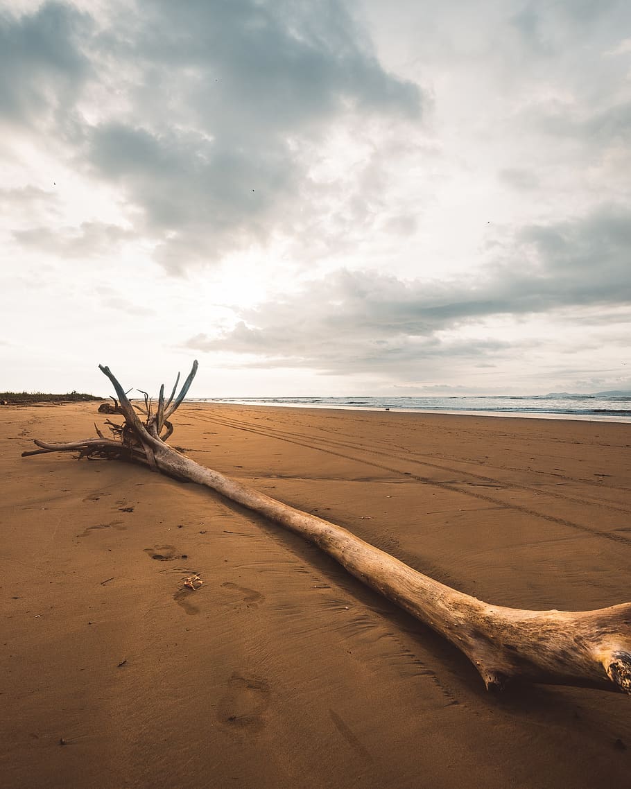 brown wood slab, sky, cloud - sky, land, sand, scenics - nature HD wallpaper