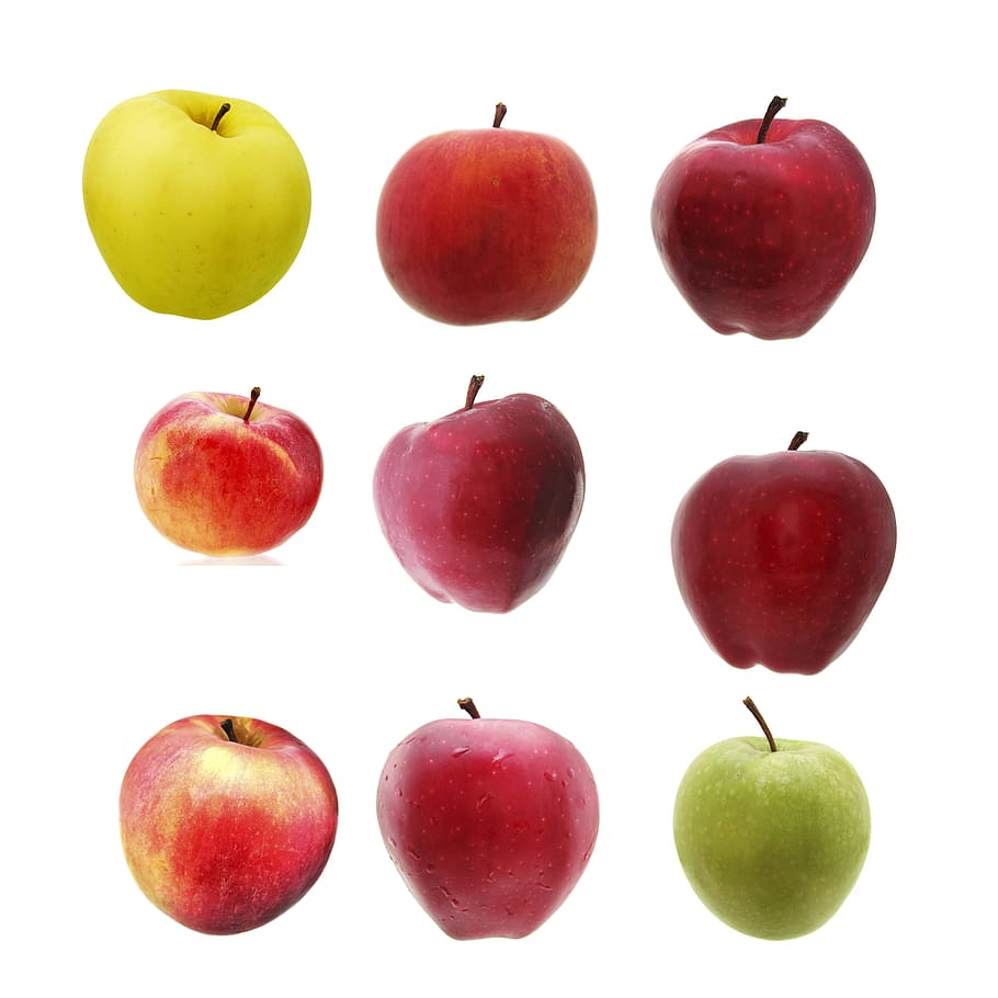 fruit, isolated, varieties, green, red, diet, apple, apples HD wallpaper