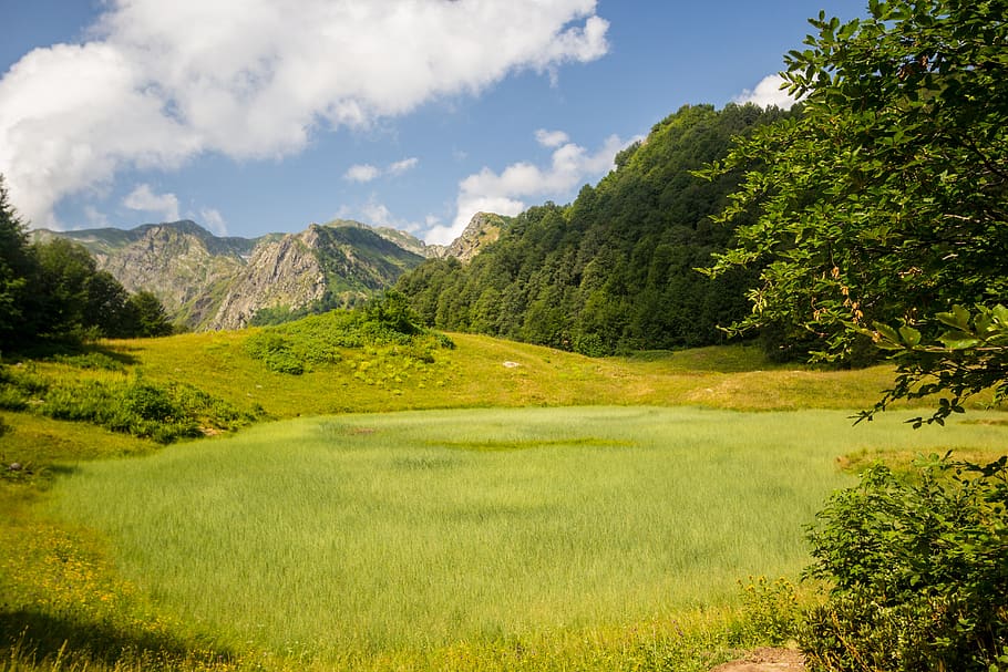 nature, sky, meadow, mountains, greens, plant, scenics - nature HD wallpaper