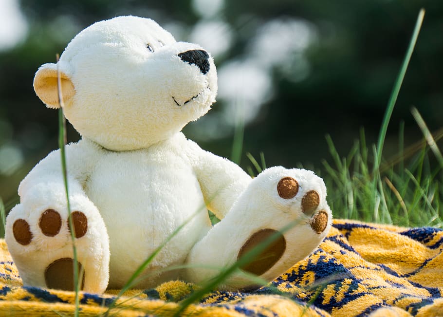 white bear plush toy, teddy bear, confectionery, food, sweets, HD wallpaper