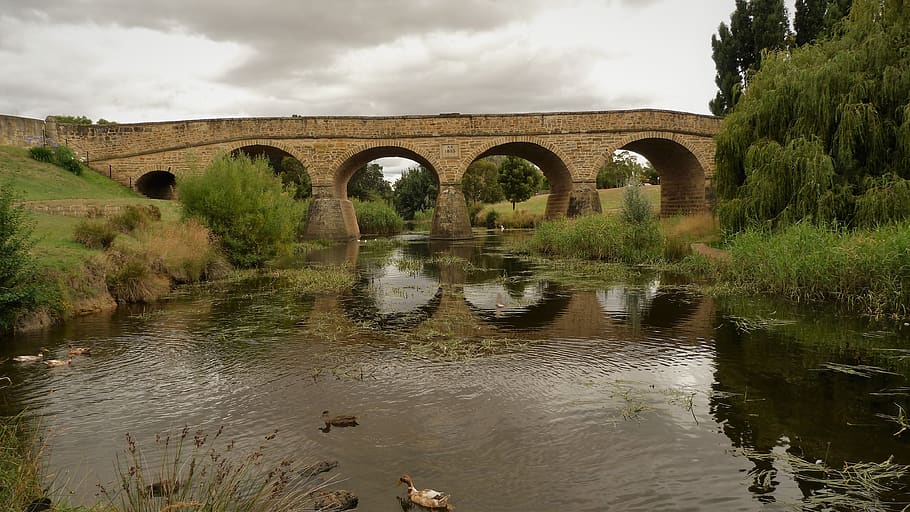 bridge, river, ducks, richmond, tasmania, australia, landscape HD wallpaper