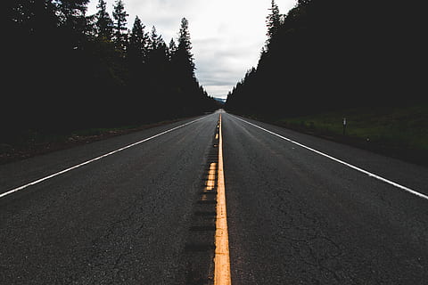 Black Asphalt Road Between Trees, dawn, daylight, drive, environment HD wallpaper