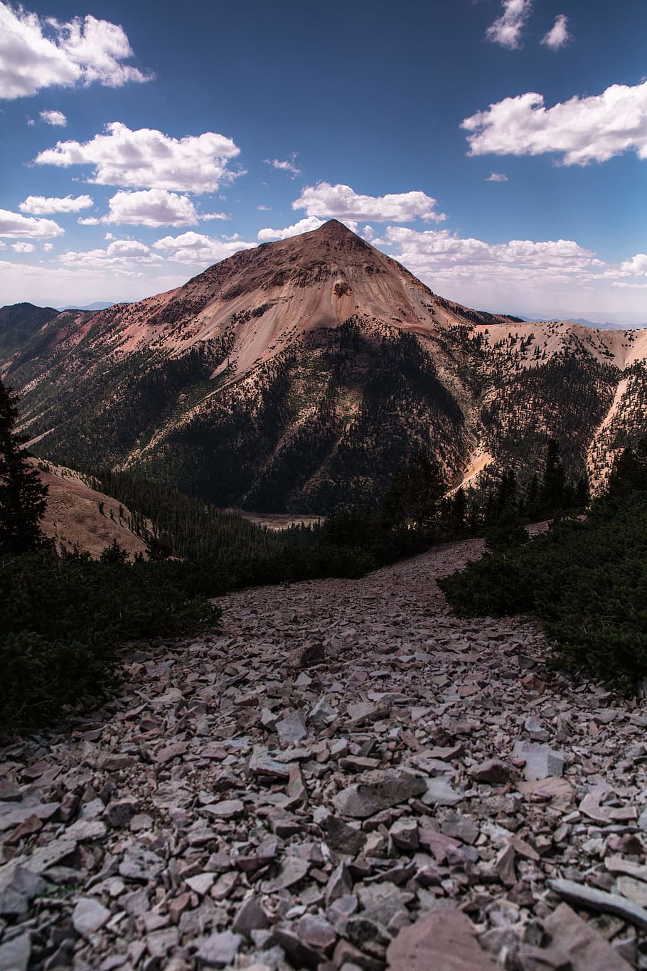 brown mountain, drought, utah, backdrop, peak, summit, tree, cloud HD wallpaper
