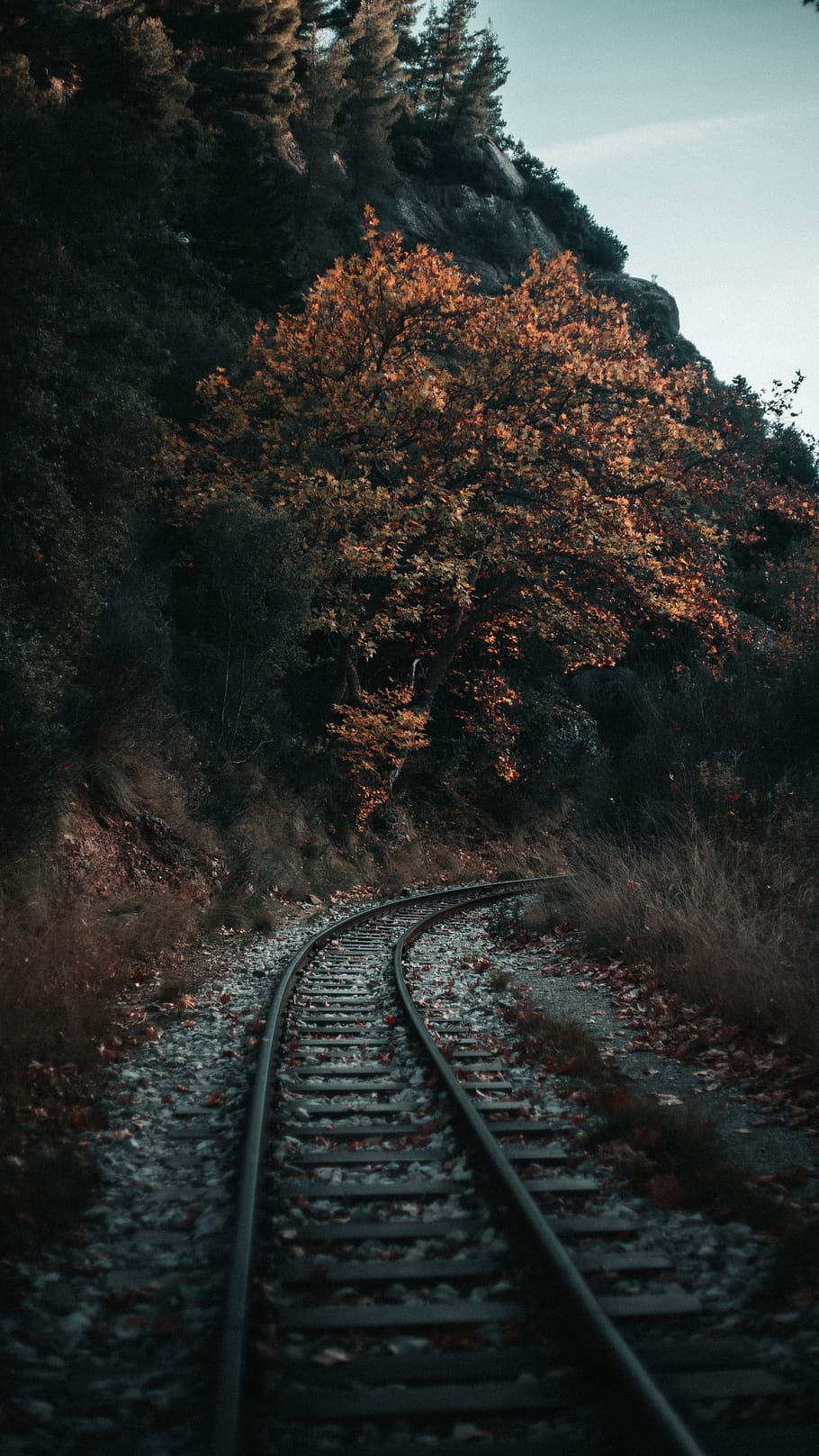 empty train track by tree and mountains, rail, railway, transportation