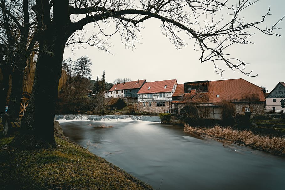 river between trees and house during daytime, plant, water, outdoors HD wallpaper