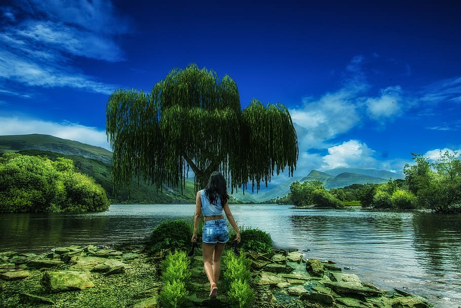 Woman in Blue Denim Shorts Walking to Tree Beside Lake, background