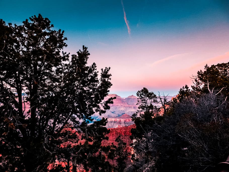 silhouette trees near mountain range, plant, fir, abies, nature HD wallpaper