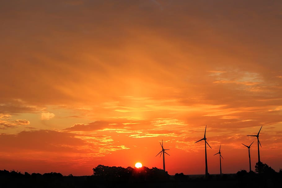 Windmills during Golden Hour, backlit, dawn, electricity, energy HD wallpaper
