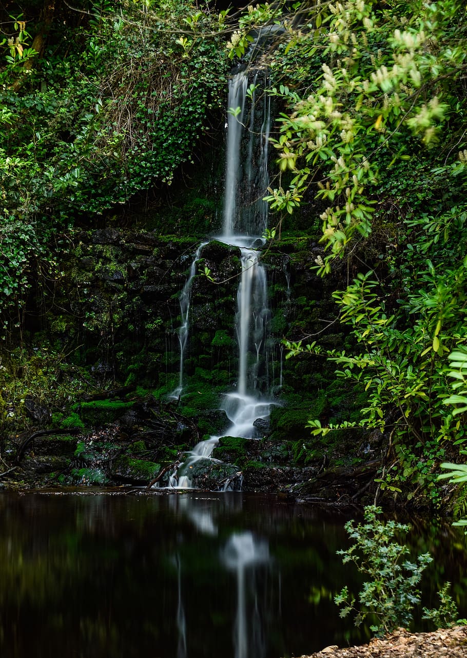 landscape, nature, waterfall, forest, tree, plant, beauty in nature HD wallpaper