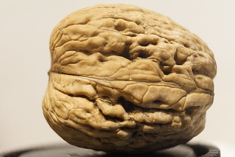 nut, walnut, shell, indoors, close-up, studio shot, no people HD wallpaper
