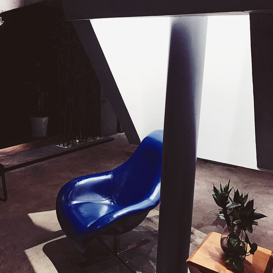 中国, 潍坊市, indoors, plant, blue, no people, nature HD wallpaper