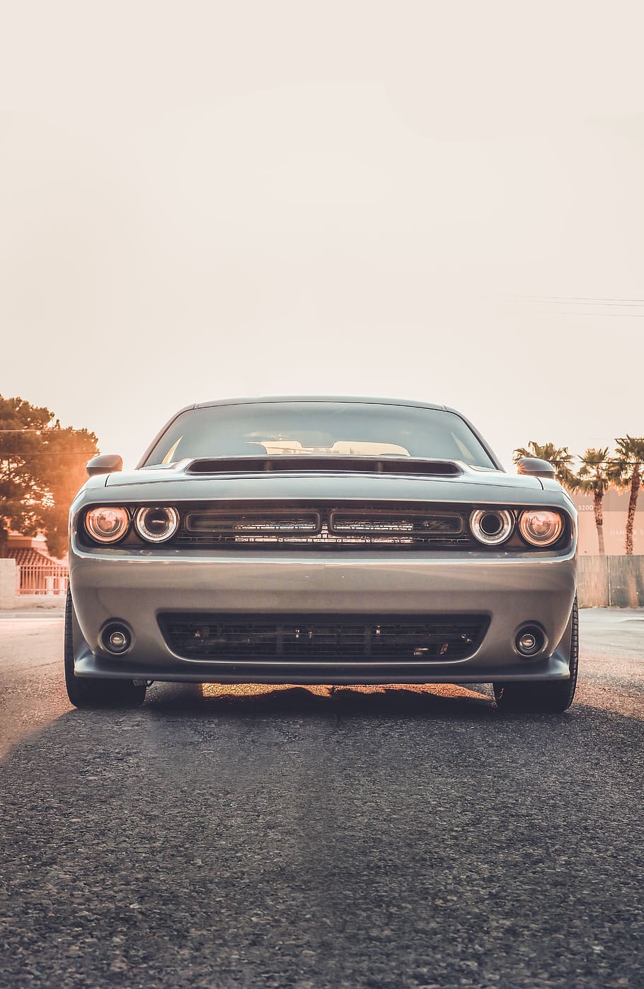 gray car, transportation, automobile, vehicle, sports car, tire HD wallpaper