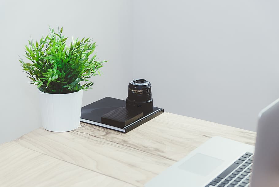 table, desk, notebook, potted plant, mockup, indoors, growth HD wallpaper