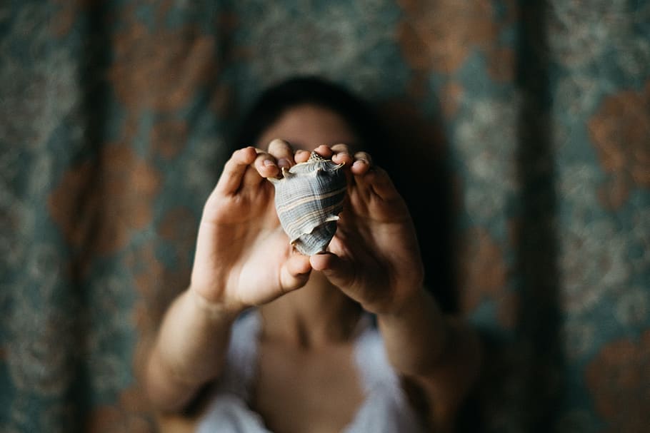 selective focus photography of woman showing conch shell, person HD wallpaper