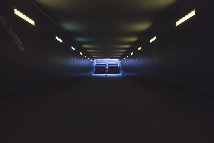 Empty Tunnel, dark, hallway, illuminated, lights, stairs, the way forward HD wallpaper