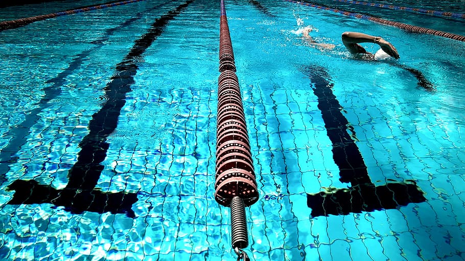 swimming, pool, water, blue, athlete, fitness, exercise, swimming pool HD wallpaper