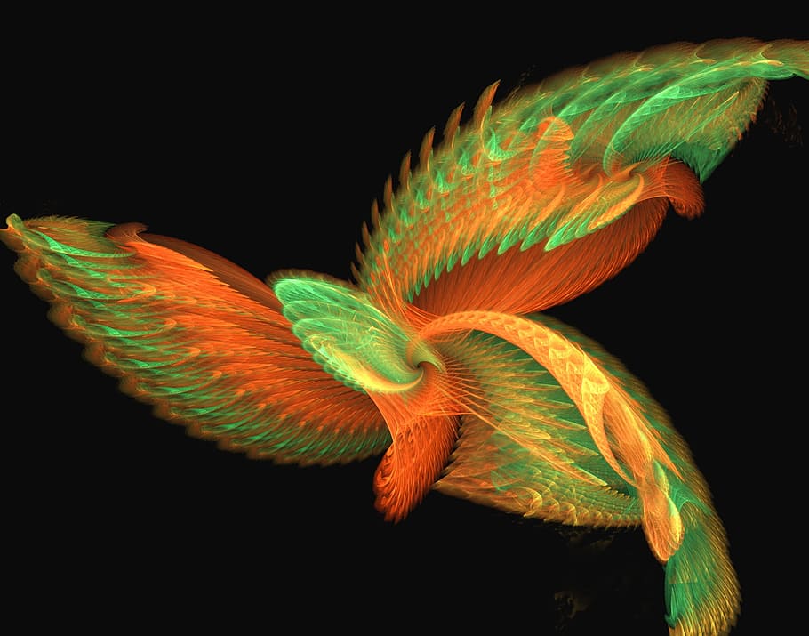 -- a digital creation resembling a tropical bird, abstract, aliens, HD wallpaper