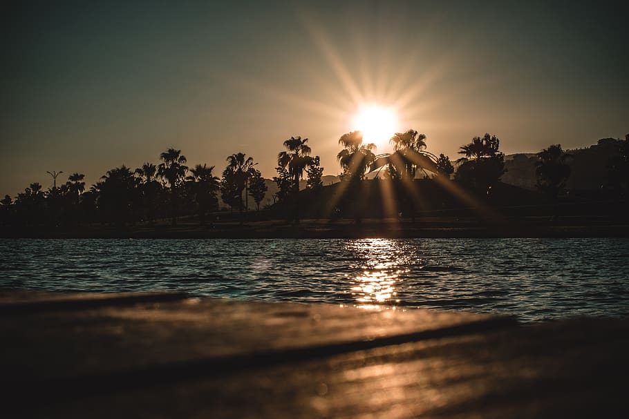Calm Body of Water Near Trees during Golden Hour, backlit, beach HD wallpaper