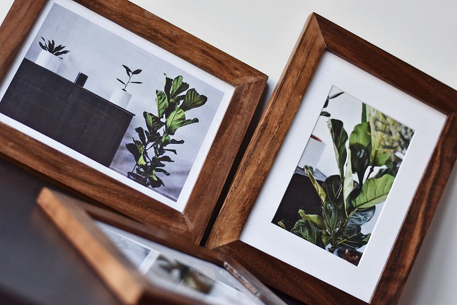 two brown-photo frame, plant, indoors, no people, wood - material HD wallpaper