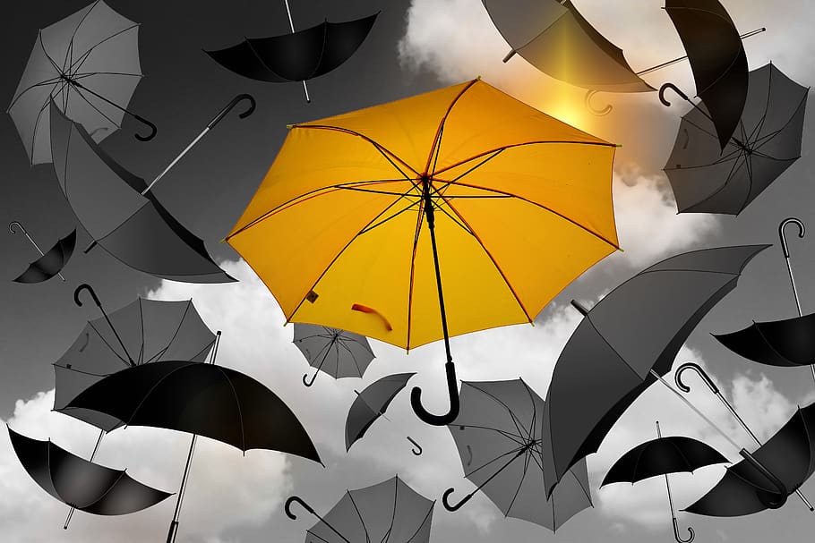 umbrella, yellow, black, white, selection, especially, special feature, HD wallpaper