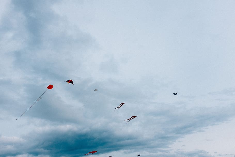 Kites in sky, activity, air, background, beautiful, blue, color HD wallpaper