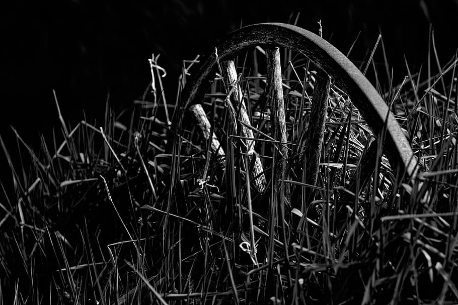 spoke, machine, wheel, tire, alloy wheel, car wheel, plant HD wallpaper