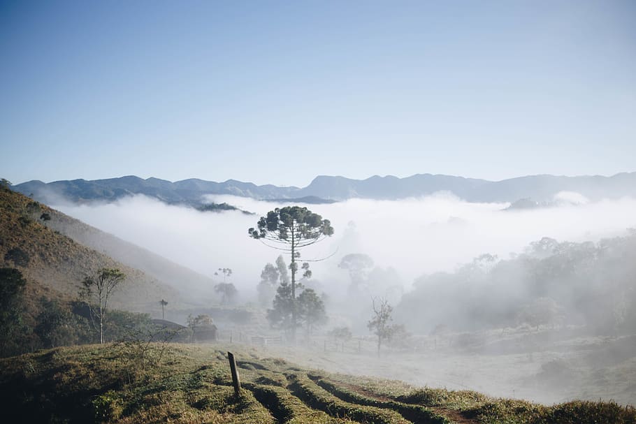 landscape view surrounded with fogs, nature, outdoors, weather HD wallpaper