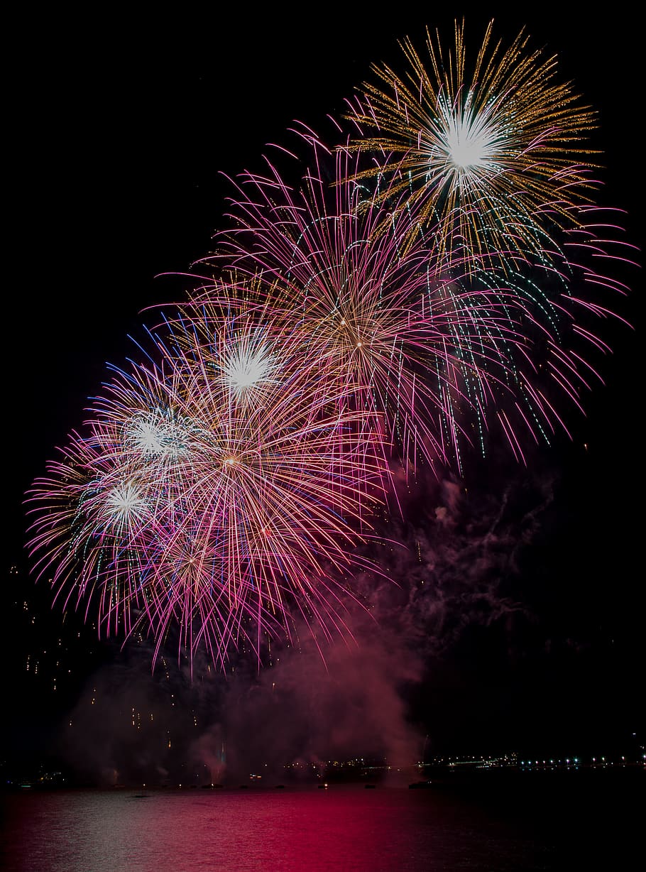 australia, canberra, night, celebration, firework, exploding HD wallpaper