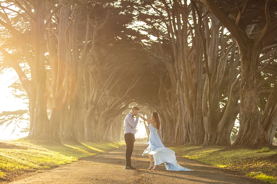 wedding, newlywed, couple - relationship, love, togetherness HD wallpaper
