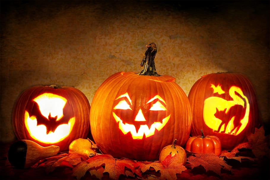 jack-o-lanterns, lit, pumpkins, carved pumpkins, halloween, HD wallpaper